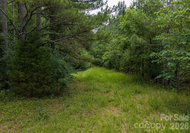Photo 3 of Land for sale at 000 Logan Land Rd, Lincolnton, NC 28092 | MLS# 4391180 | Listing updated on 2026-10-07