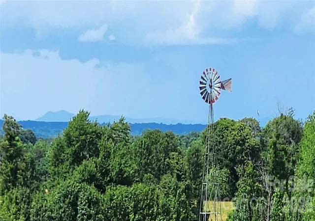 33rd image of Lot 9 Raintree Farm Ln #9, Rutherfordton, NC 28139 | MLS# 4391248
