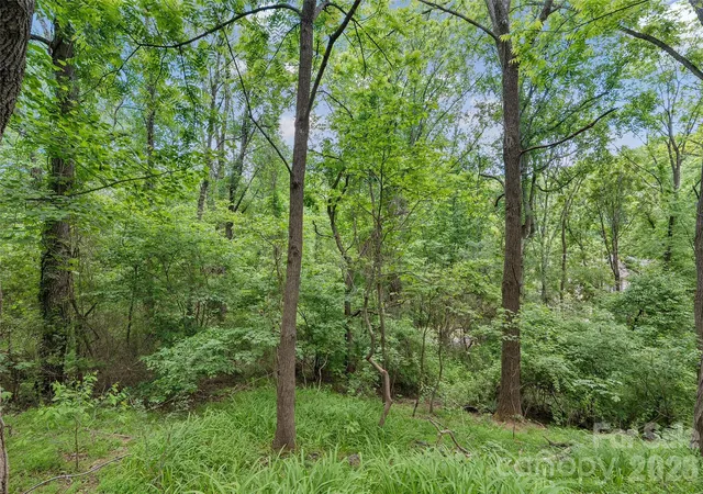 Photo 3 of Land for sale at 00000 Timberwood Dr, Asheville, NC 28806 | MLS# 4391249 | Listing updated on 2026-07-16