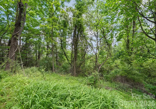 Photo 4 of Land for sale at 00000 Timberwood Dr, Asheville, NC 28806 | MLS# 4391249 | Listing updated on 2026-07-16