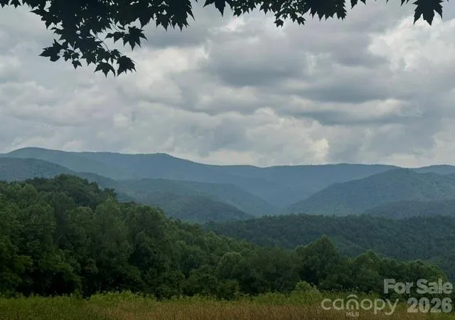Homes for sale in Marshall, NC | 00 Sugar Loaf Mountain Rd, Marshall, NC 28753 | MLS# 4391262