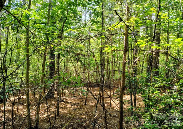 1st image of 210 Harbor Ridge Dr, Connelly Springs, NC 28612 | MLS# 4391271