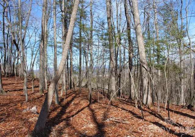 Photo 3 of Land for sale at 000 Northview Dr #12, Hendersonville, NC 28791 | MLS# 4391273 | Listing updated on 2026-08-03