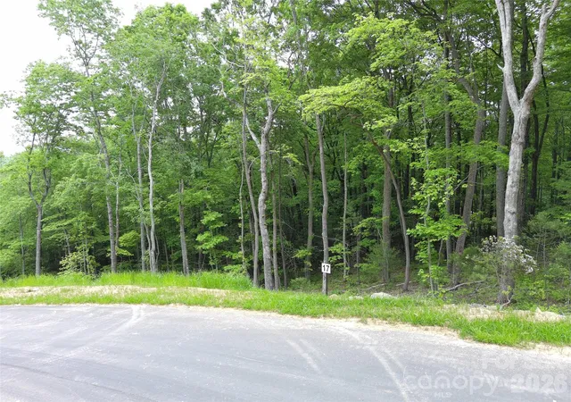 3rd image of Lot 17 Northview Dr, Hendersonville, NC 28791 | MLS# 4391277