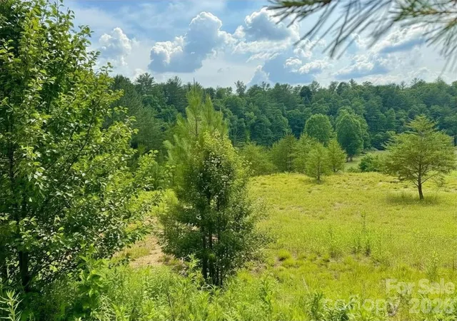 Homes for sale in Lenoir, NC | 194 Acres, Lot Cb22, Cypress Trl #CB22, Lenoir, NC 28645 | MLS# 4391523