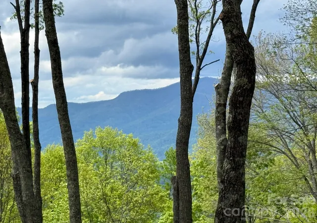 Photo 1 of Land for sale at 1817 E Reach Rd #216, Sylva, NC 28779 | MLS# 4391542 | Listing updated on 2026-06-09