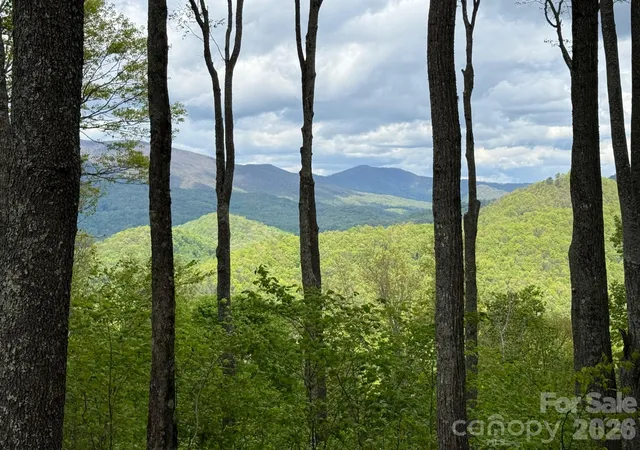 Photo 3 of Land for sale at 1817 E Reach Rd #216, Sylva, NC 28779 | MLS# 4391542 | Listing updated on 2026-06-09