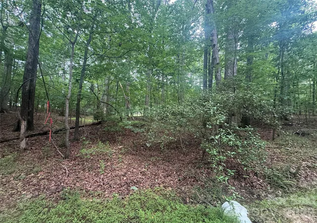 Homes for sale in Troy, NC | 00 S Lineberry St, Troy, NC 27371 | MLS# 4391580