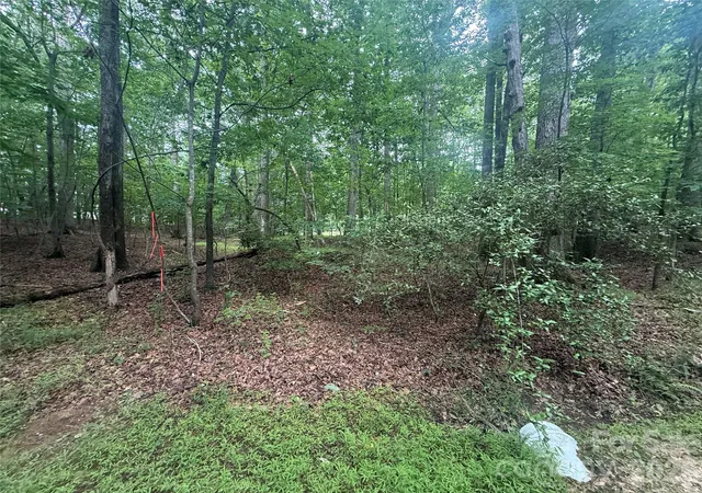Homes for sale in Troy, NC | 00 S Lineberry St, Troy, NC 27371 | MLS# 4391580