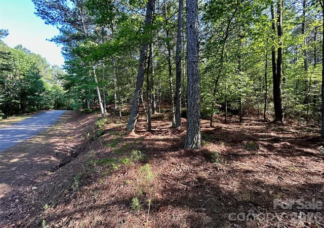3rd image of 2143 Lighthouse Ln, Connelly Springs, NC 28612 | MLS# 4391611