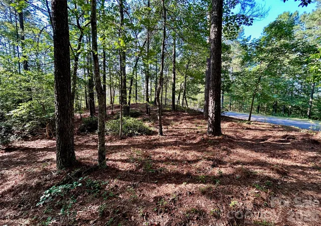 4th image of 2143 Lighthouse Ln, Connelly Springs, NC 28612 | MLS# 4391611