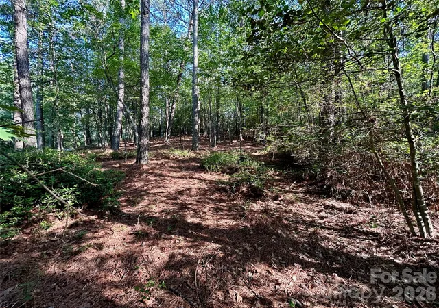 5th image of 2143 Lighthouse Ln, Connelly Springs, NC 28612 | MLS# 4391611