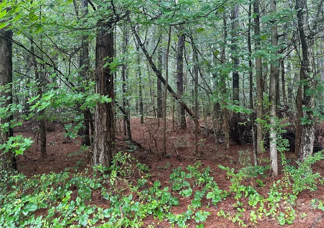 Photo 3 of Land for sale at 000 Young Rd, Bessemer City, NC 28016 | MLS# 4391635 | Listing updated on 2026-06-22