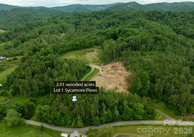 Photo 4 of Land for sale at Tbd Sycamore Rd, Vilas, NC 28692 | MLS# 4391678 | Listing updated on 2026-06-13