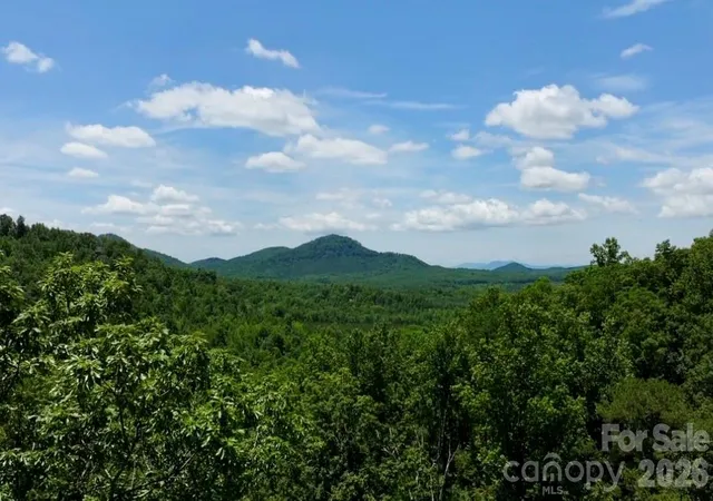 Homes for sale in Nebo, NC | 108 Mountain Brook Trl, Nebo, NC 28761 | MLS# 4391993