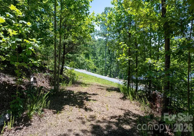 Homes for sale in Nebo, NC | 108 Mountain Brook Trl, Nebo, NC 28761 | MLS# 4391993