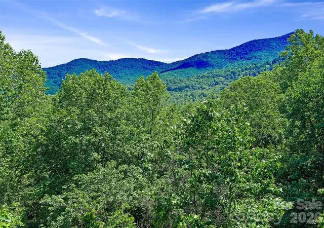 29th image of 9999 Lovebird Ln #20, Candler, NC 28715 | MLS# 4391997