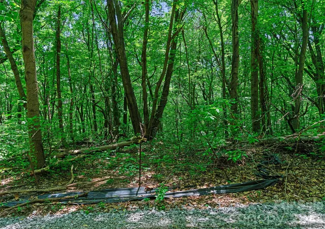 Photo 3 of Land for sale at 9999 Lovebird Ln #20, Candler, NC 28715 | MLS# 4391997 | Listing updated on 2026-07-31
