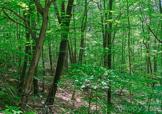 Photo 3 of Land for sale at 9999 Lovebird Ln #20, Candler, NC 28715 | MLS# 4391997 | Listing updated on 2026-07-31