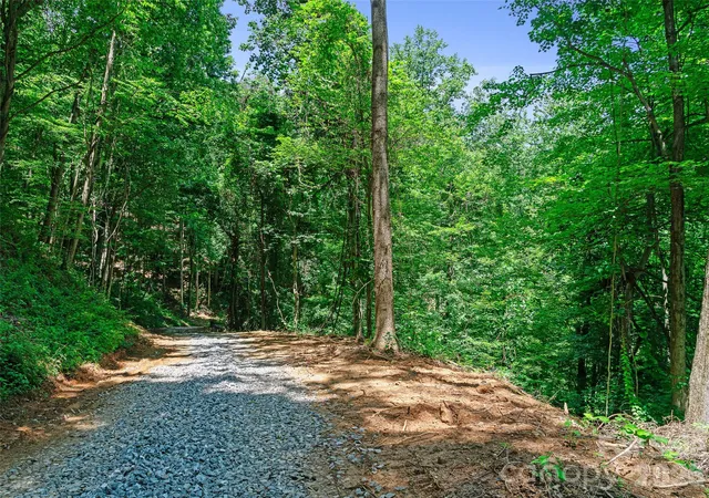 Photo 4 of Land for sale at 9999 Lovebird Ln #20, Candler, NC 28715 | MLS# 4391997 | Listing updated on 2026-07-31