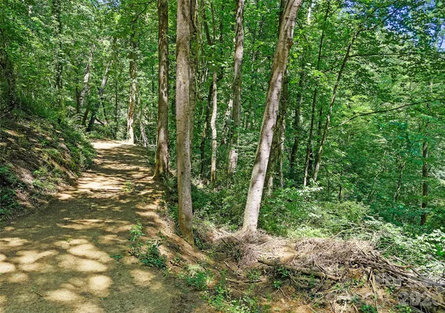 2nd image of 9999 Lovebird Ln #23, Candler, NC 28715 | MLS# 4392011