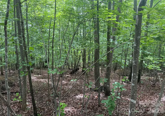 Homes for sale in Nebo, NC | V/L Scenic Vista Dr #246, Nebo, NC 28761 | MLS# 4392014
