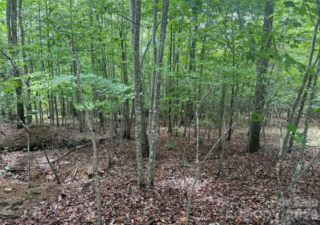 Homes for sale in Nebo, NC | V/L Scenic Vista Dr #246, Nebo, NC 28761 | MLS# 4392014