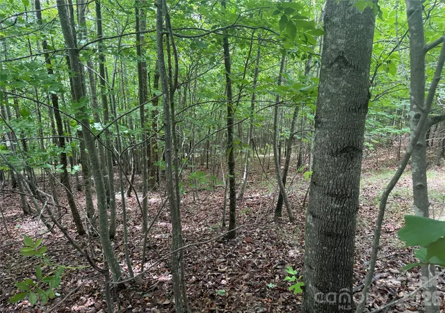 Homes for sale in Nebo, NC | V/L Scenic Vista Dr #246, Nebo, NC 28761 | MLS# 4392014