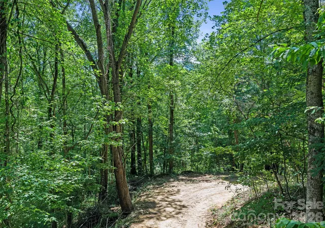 3rd image of 9999 Lovebird Ln #19, Candler, NC 28715 | MLS# 4392038