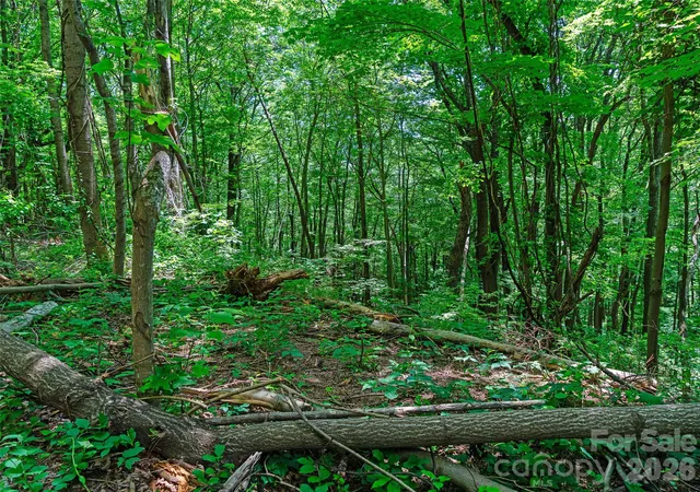4th image of 9999 Lovebird Ln #19, Candler, NC 28715 | MLS# 4392038