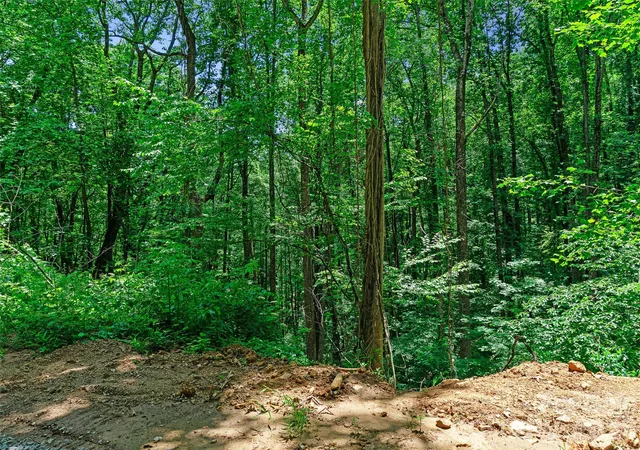 5th image of 9999 Lovebird Ln #19, Candler, NC 28715 | MLS# 4392038