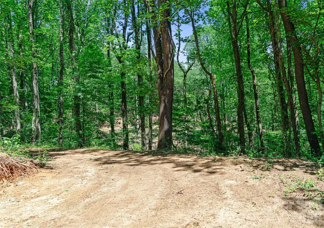 3rd image of 9999 Lovebird Ln #17, Candler, NC 28715 | MLS# 4392049