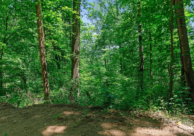 5th image of 9999 Lovebird Ln #17, Candler, NC 28715 | MLS# 4392049