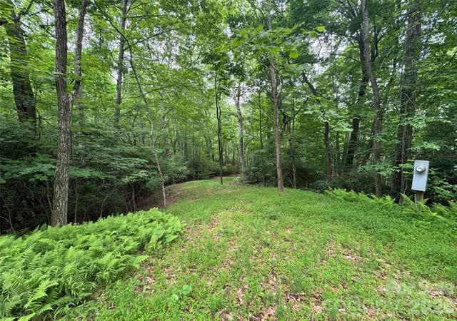 Photo 1 of Land for sale at 000 Chestnut Oak Ln, Pisgah Forest, NC 28768 | MLS# 4392078 | Listing updated on 2026-07-20
