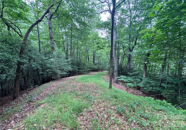 Photo 2 of Land for sale at 000 Chestnut Oak Ln, Pisgah Forest, NC 28768 | MLS# 4392078 | Listing updated on 2026-07-20