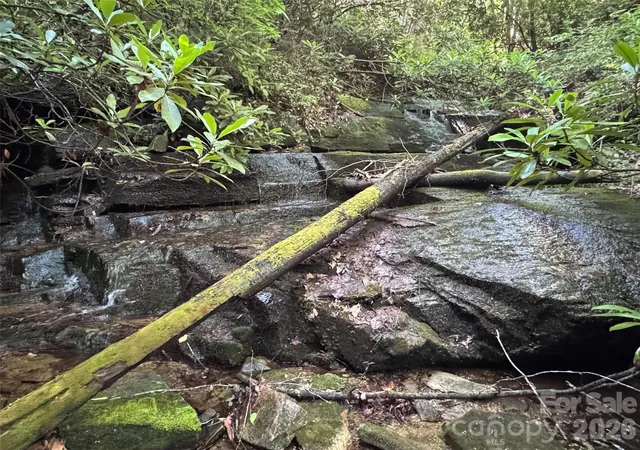 Photo 3 of Land for sale at 000 Chestnut Oak Ln, Pisgah Forest, NC 28768 | MLS# 4392078 | Listing updated on 2026-07-20