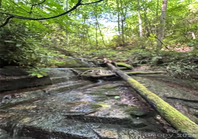 Photo 4 of Land for sale at 000 Chestnut Oak Ln, Pisgah Forest, NC 28768 | MLS# 4392078 | Listing updated on 2026-07-20