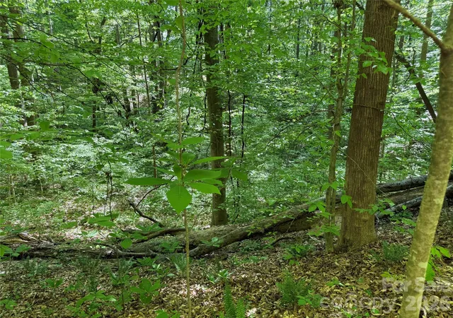 Photo 3 of Land for sale at 605 Shiloh Rd, Statesville, NC 28677 | MLS# 4392119 | Listing updated on 2026-09-08