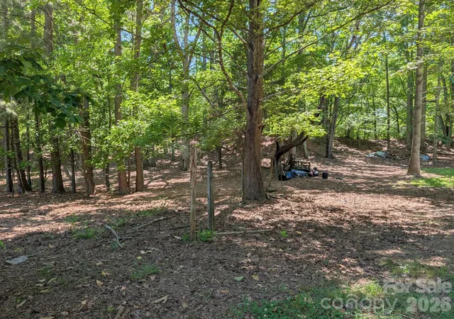 Homes for sale in Catawba, SC | 4053 Roddey Rd, Catawba, SC 29704 | MLS# 4392129