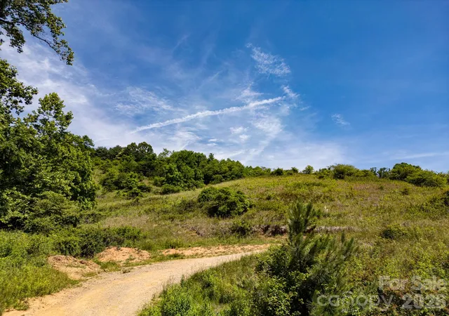 48th image of 999 Murphy Cove Rd, Candler, NC 28715 | MLS# 4392325
