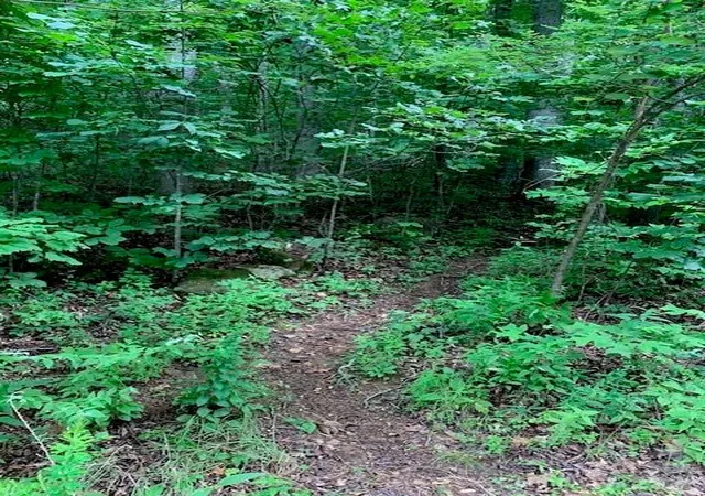 Photo 1 of Land for sale at Tbd Whitewater Cvs, Montreat, NC 28757 | MLS# 4392388 | Listing updated on 2026-06-23