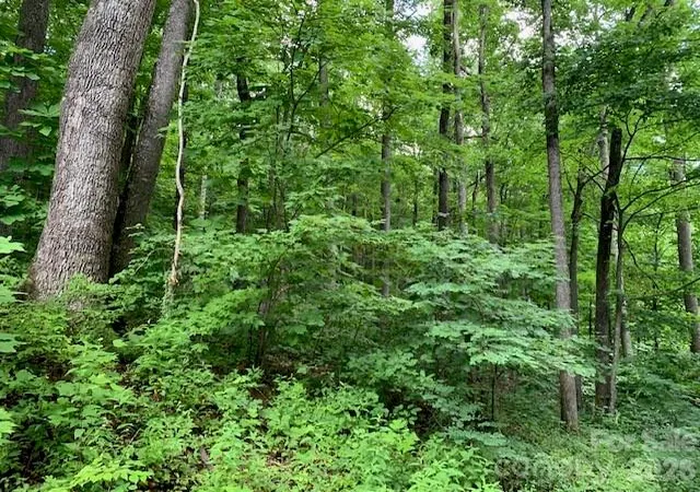 Photo 16 of Land for sale at Tbd Whitewater Cvs, Montreat, NC 28757 | MLS# 4392388 | Listing updated on 2026-06-23