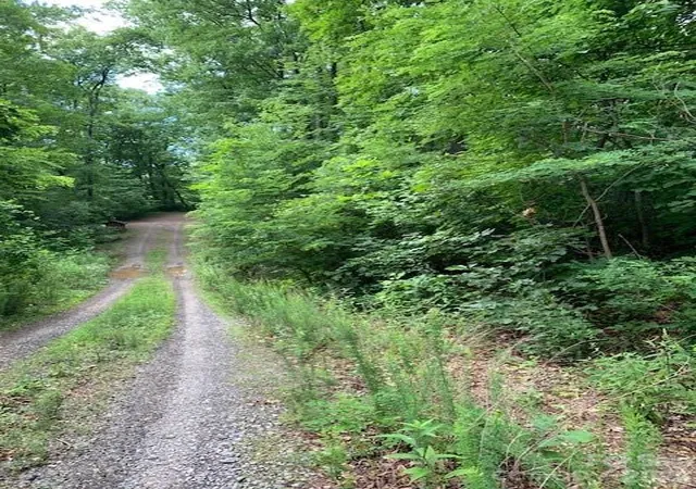 Photo 2 of Land for sale at Tbd Whitewater Cvs, Montreat, NC 28757 | MLS# 4392388 | Listing updated on 2026-06-23