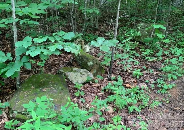 Photo 3 of Land for sale at Tbd Whitewater Cvs, Montreat, NC 28757 | MLS# 4392388 | Listing updated on 2026-06-23