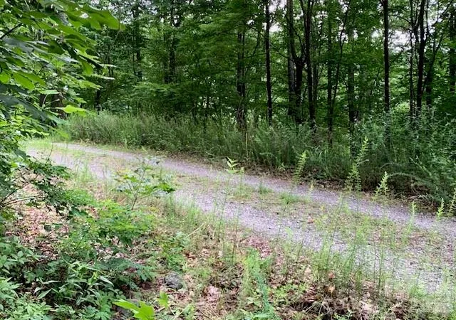 Photo 4 of Land for sale at Tbd Whitewater Cvs, Montreat, NC 28757 | MLS# 4392388 | Listing updated on 2026-06-23
