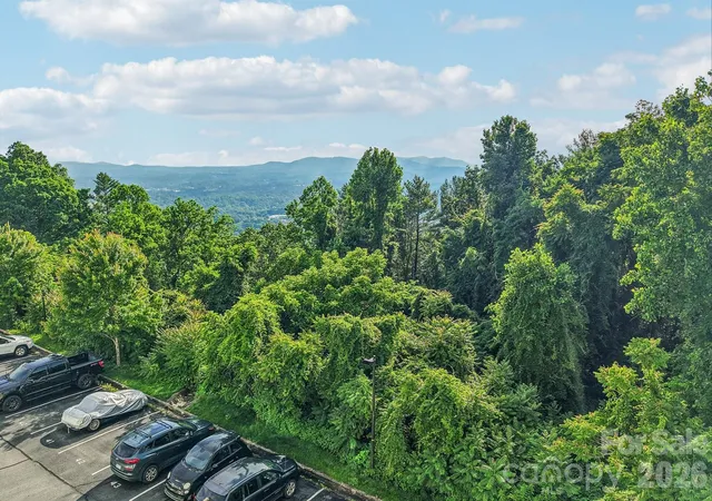 Homes for sale in Asheville, NC | 647 Town Mountain Road, Asheville, NC 28804 | Houzeo