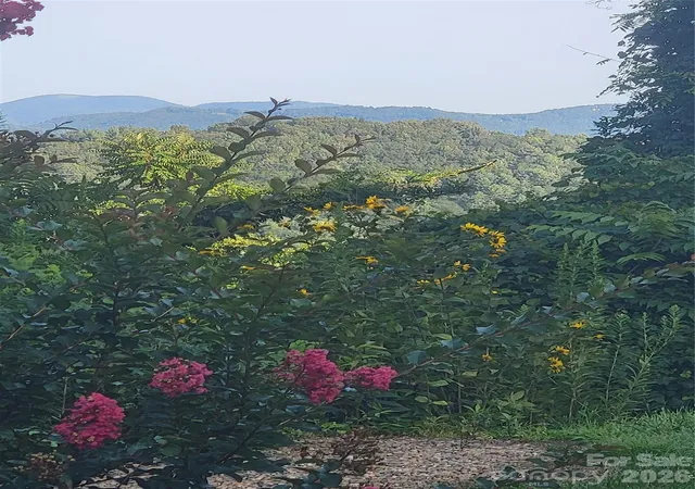 29th image of 647 Town Mountain Rd #212, Asheville, NC 28804 | MLS# 4392443
