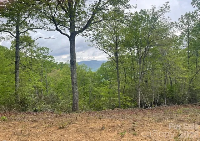 Homes for sale in Sylva, NC | Lot 7 Copperhead Cvs, Sylva, NC 28779 | MLS# 4392534