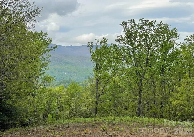 Homes for sale in Sylva, NC | Lot 7 Copperhead Cvs, Sylva, NC 28779 | MLS# 4392534