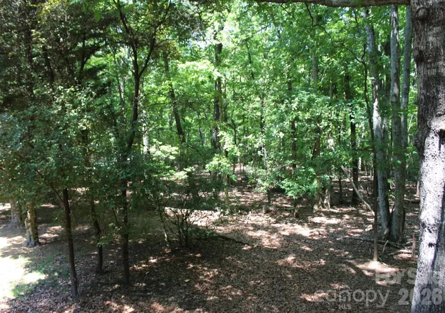 Homes for sale in Columbus, NC | 30 Oak Ln, Columbus, NC 28722 | MLS# 4392545